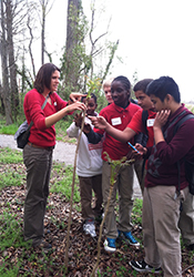 VIMS alumna Sarah Sumoski leads a group on a nature hike through Paradise Creek Nature Park in Portsmouth.