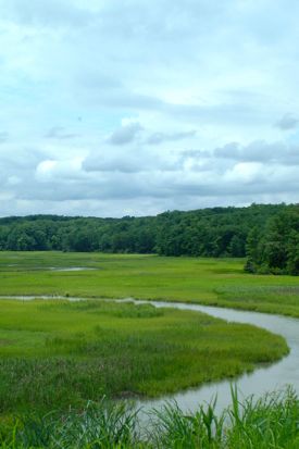 Taskinas Creek, a tributary of the York River, represents the type of connected system the VIMS team will be assessing, The creek connects headwater wetlands with brackish and tidal marshes. Photo by Dr. Donna Bilkovic.