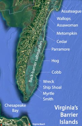 Virginia is home to a number of pristine barrier islands and back-barrier saltmarshes. Background image courtesy of Google Earth.