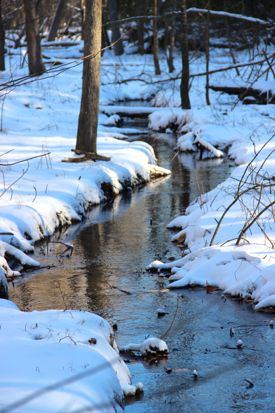 A headwater creek in winter. Photo by D. Malmquist.
