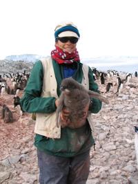 Heidi Geisz with Adelie penguin chick in Antarctica.