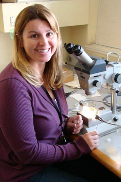 Jennifer Martin at the microscope during her PhD studies at VIMS.