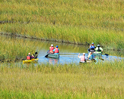 Canoe trip on Taskinas Creek. ©Susan Maples Luellen