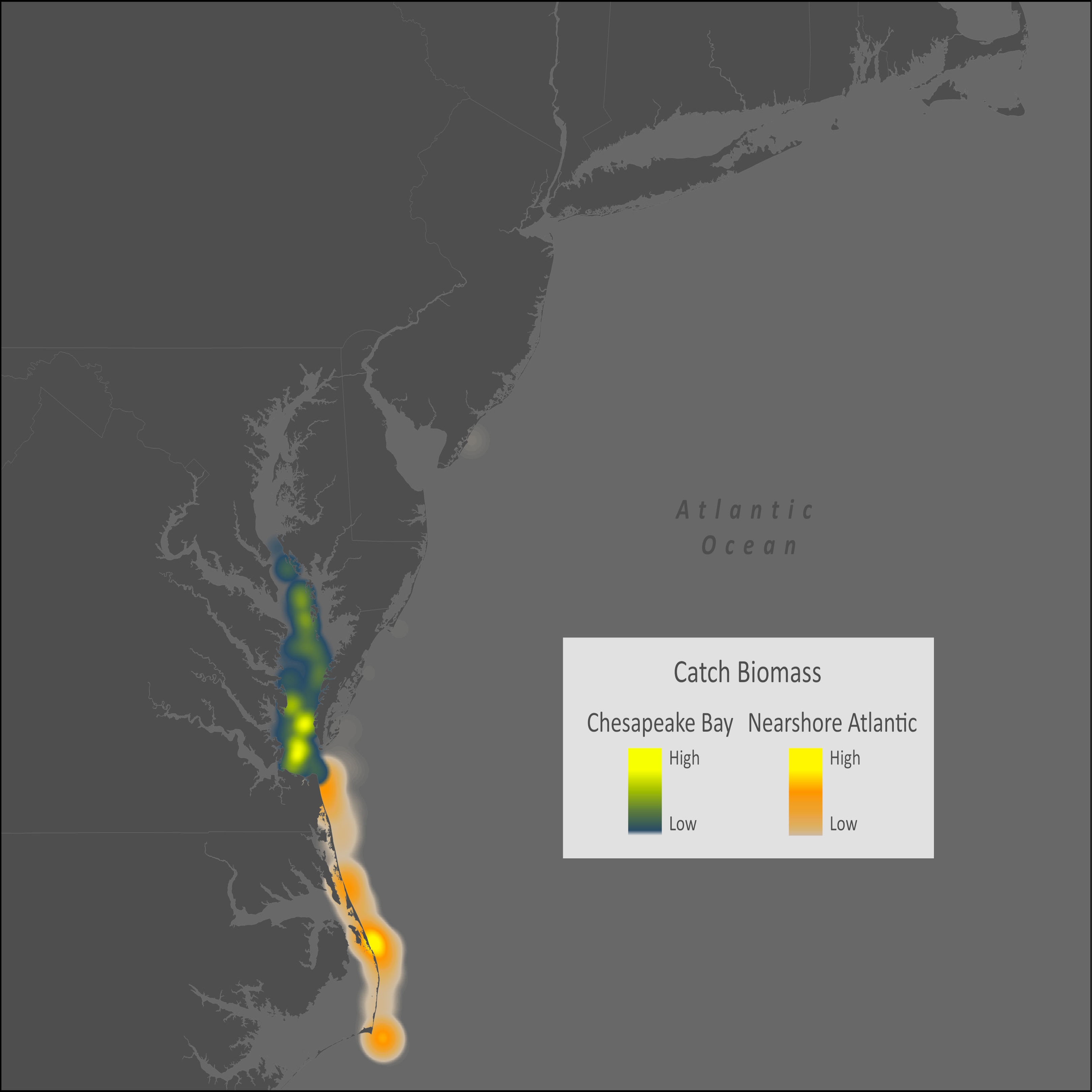 Atlantic Spadefish Distribution