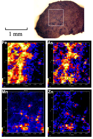Single sand grain µXRF map of iron, arsenic, zinc, and manganese (clockwise from top left).