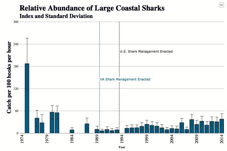 Shark Surveys