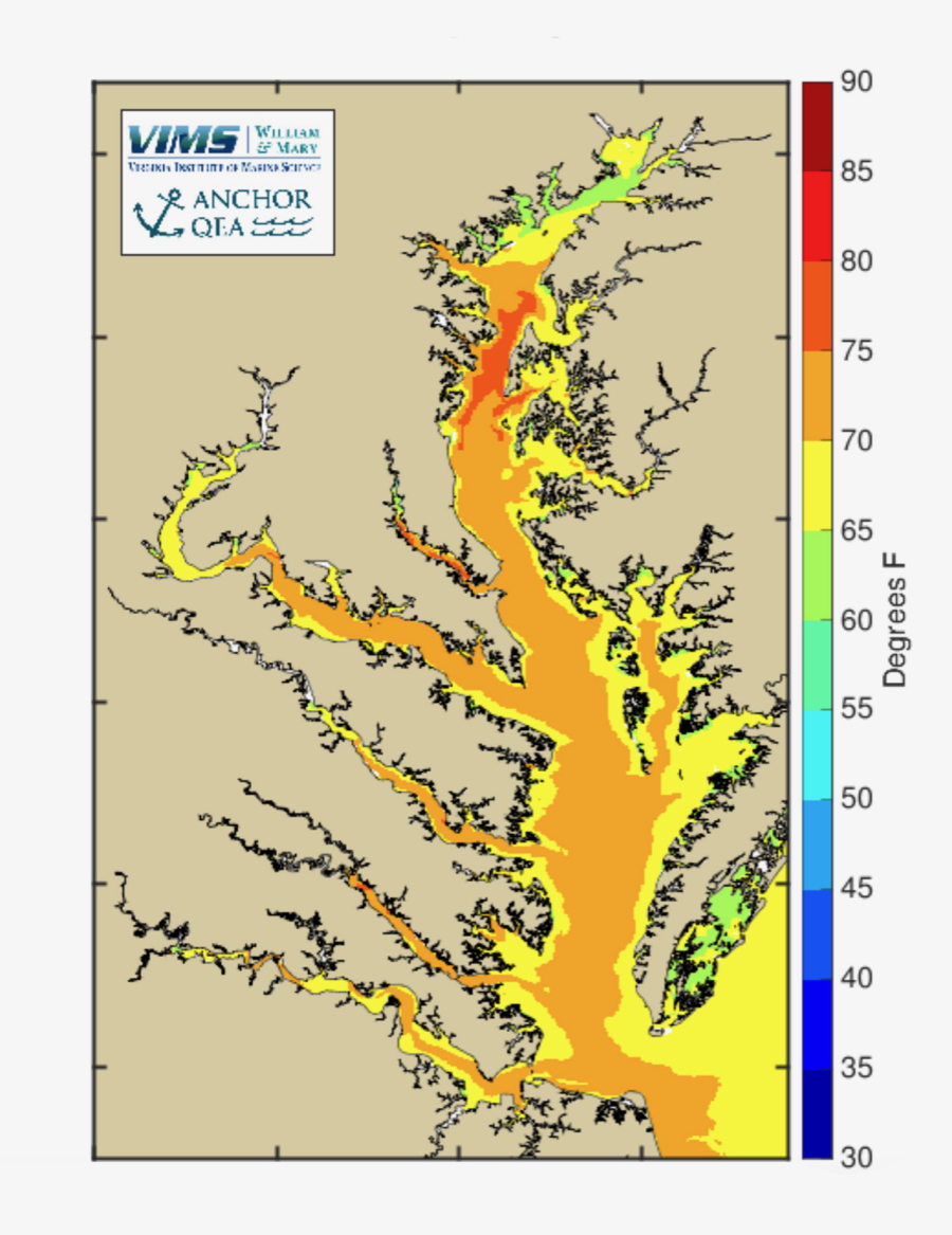 Chesapeake Bay Temperature