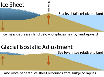 As an ice sheet melts, isostatic adjustment causes newly exposed land to rebound, while the fore-bulge slowly subsides..