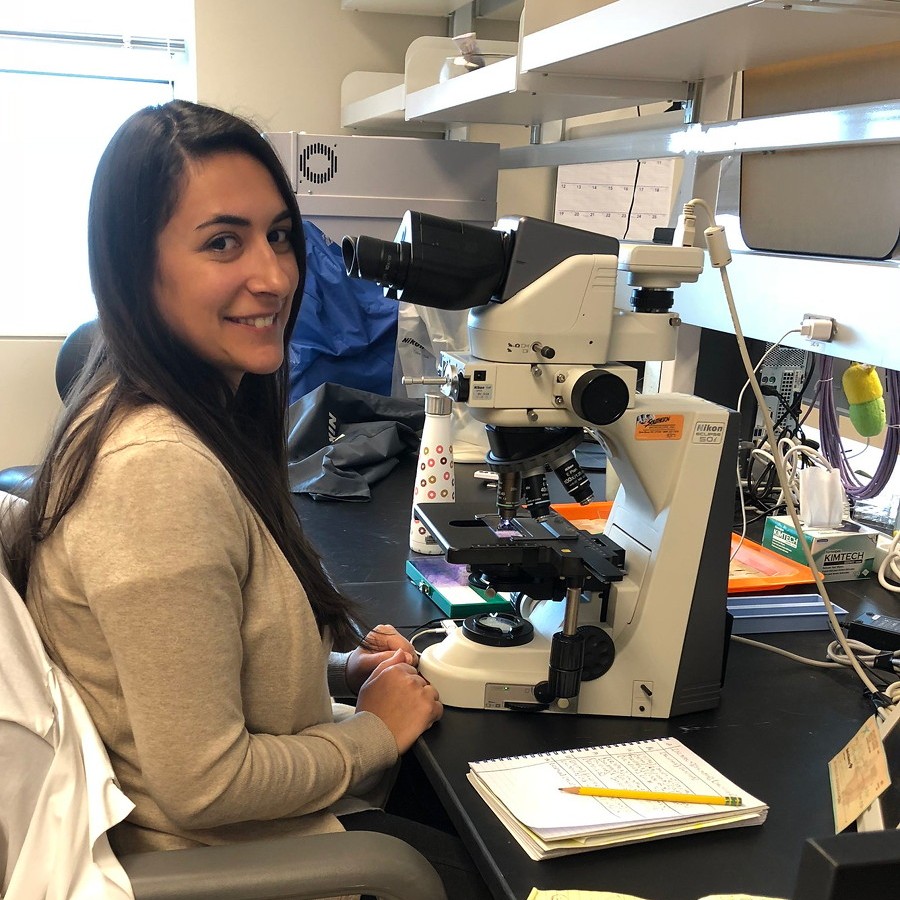 Post-doc Joana Sousa uses a microscope to perform cytogenetic analysis of oyster larvae cells. This technique allows her to count the exact number of chromosomes in a single cell. 