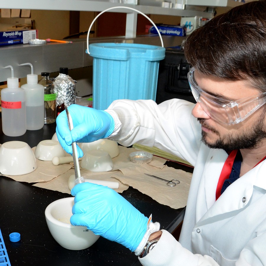 Post-doc Eric Guévélou grinds freeze-dried oyster tissue into a powder that will be used for near-infrared reflectance spectrometry.