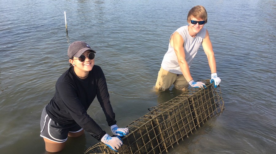 Moving an oyster cage