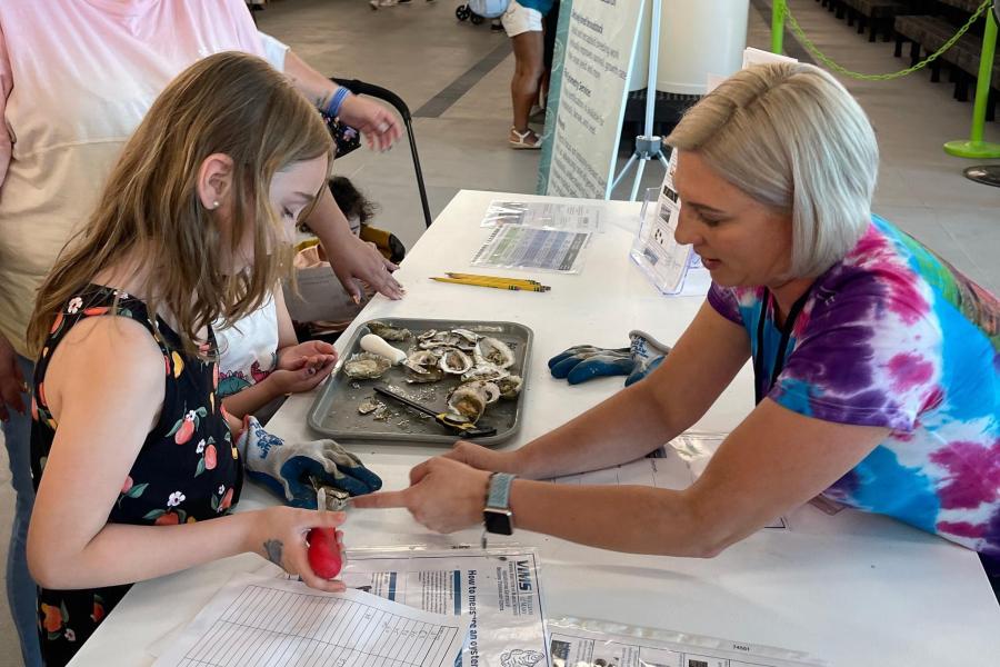 Learning to shuck an oyster