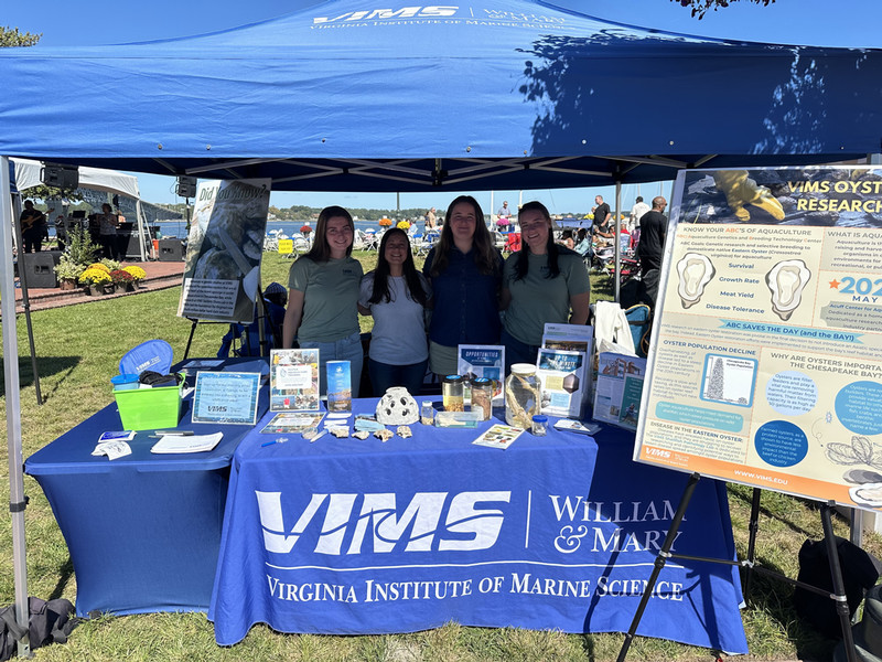Yorktown festival 