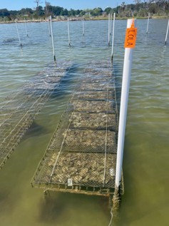 ABC's custom rack system in the Rappahannock River