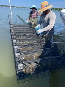 Two ABC employees adjust long line baskets in the Lewisetta custom hybrid system