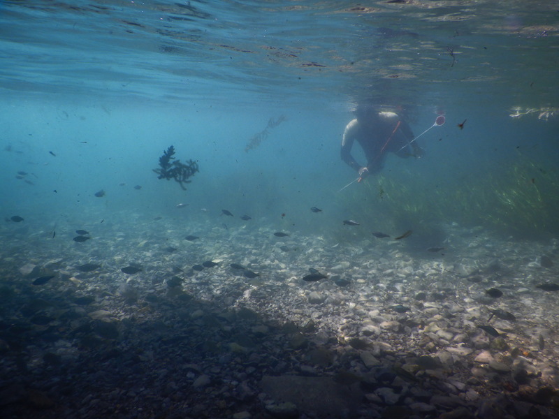 Grad student Alex Solis doing visual river surveys.