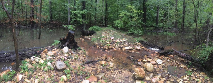 Stream on the SERC property restored using the RSCS technique.