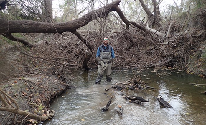 Giant log and litter dam in Placedo Creek, TX created by trees downed by Hurricane Harvey in 2017.