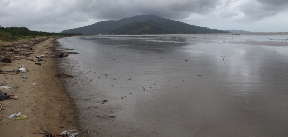 Modern Tijucas Beach. Note sandy beach with muddy beachface and nearshore, and waves crashing along new chenier ridge in background (to right).