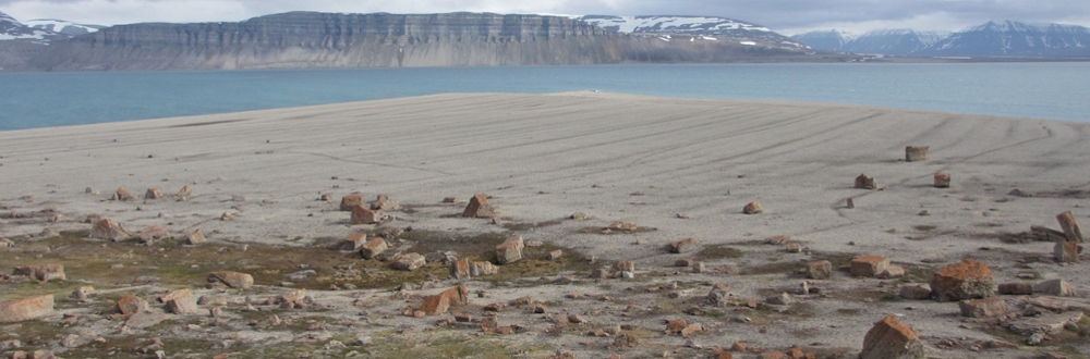 View of the Tempelfjorden beach-ridge plain, Spitsbergen, Svalbard.