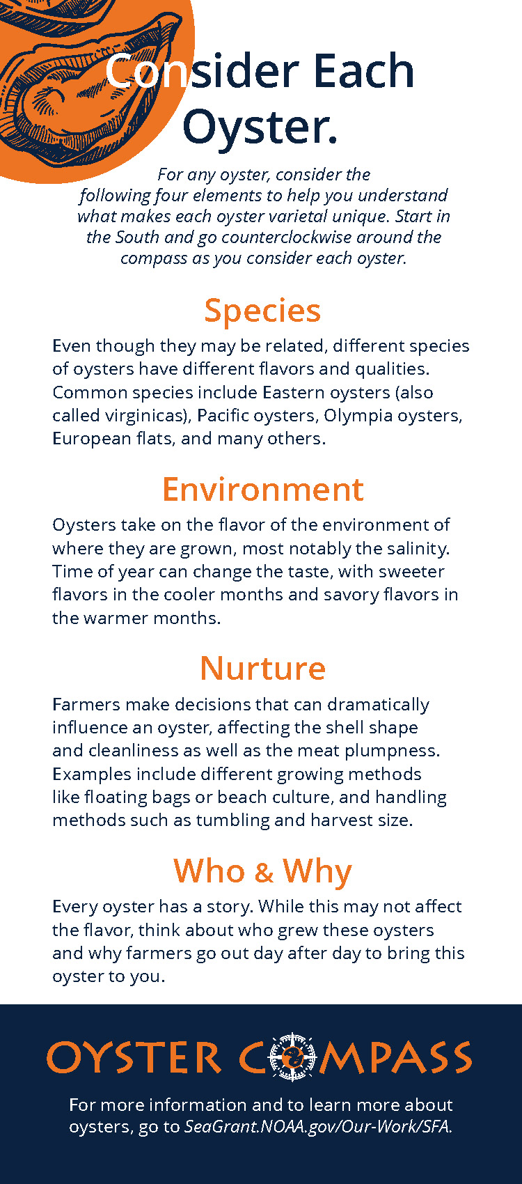 Oyster Compass infographic