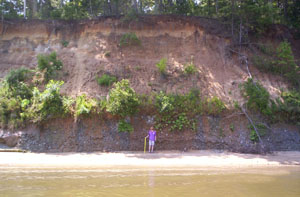 A pleistocene oyster reef exposed at low tide on the Piankatank River in Virginia. Note the depth of this geological deposit.