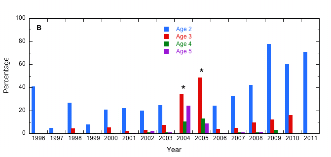 Age specific survival in the Great Wicomico River (region B) from 1996 to 2010. * denotes years when age 2 survival was unusually high as noted in the text.
