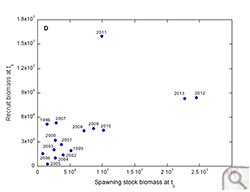 Piankatank River Stock Recruit