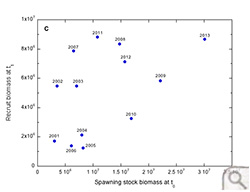 Rappahannock River Stock Recruit