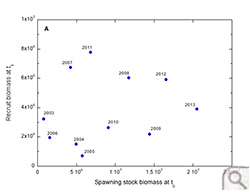 Pocomoke Tangier Stock Recruit