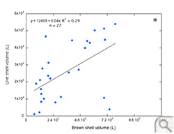 Brown shell volume (L) versus live shell volume (L) in the Elizabeth and Lafayette Rivers (region H).