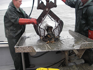 Side view of a patent tong. Photo by Missy Southworth