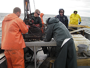 Oyster survey crew. Photo by Missy Southworth