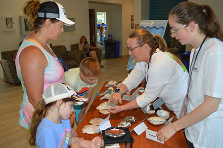 Missy Southworth and Livvie Cohn show mollusc growth rings for the Stories Inside Shells table at VIMS Marine Science Day