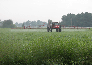 Agricultural fields are a major source of excess nutrients. Photo: Jane Hawkey, IAN Image Library www.ian.umces.edu/imagelibrary/).