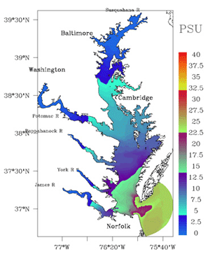 Image from Chesapeake Bay Coastal Prediction Center 