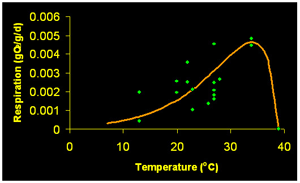 Respiration rate of the blue crab over a range of temperatures. Note how the respiration rate increases as the temperature increases, but only up to a certain point. The respiration rate goes to zero at high temperatures because the crab does not survive. Photo: Virginia Institute of Marine Science. Graph from Brylawski & Miller 2003