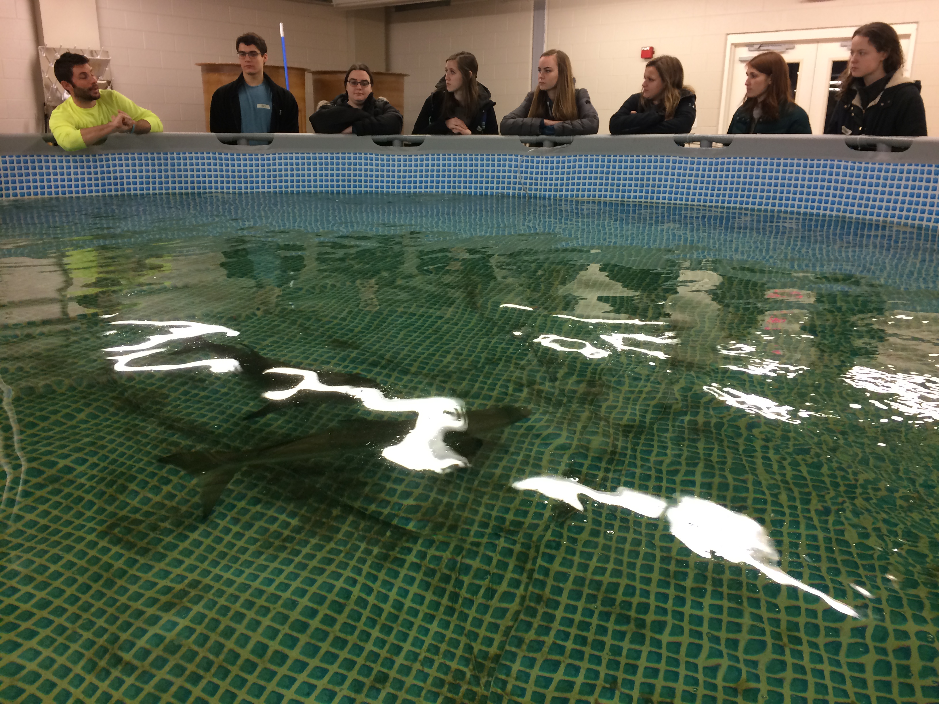 Students and Cobia Tank