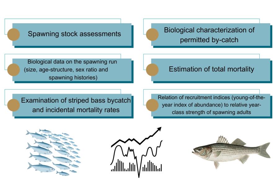 Data products gathered from the monitoring program.