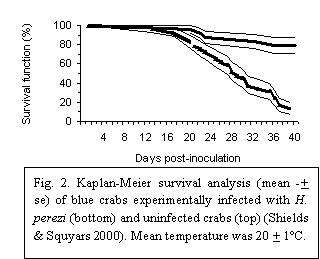 Kaplan-Meier survival analysis