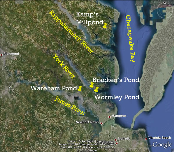 The VIMS American Eel Monitoring Program has sampling sites on the James, York, and Rappahannock rivers (shown here), and also on the Potomac River. Click image for larger version.
