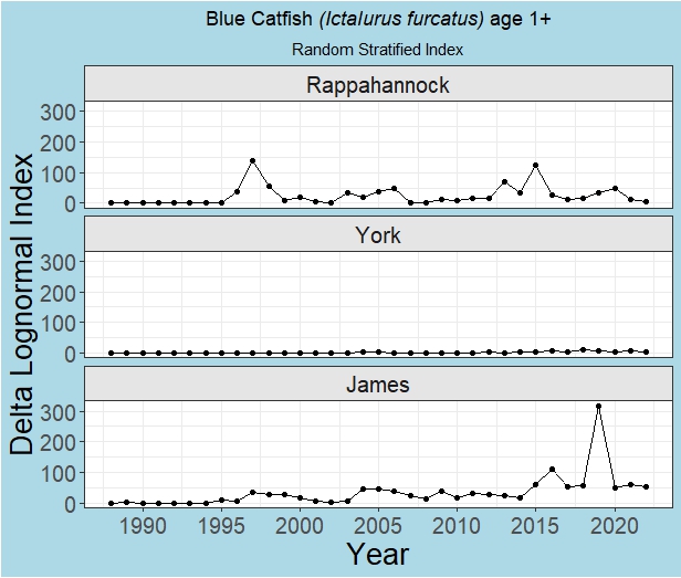 bcplus1 index graph