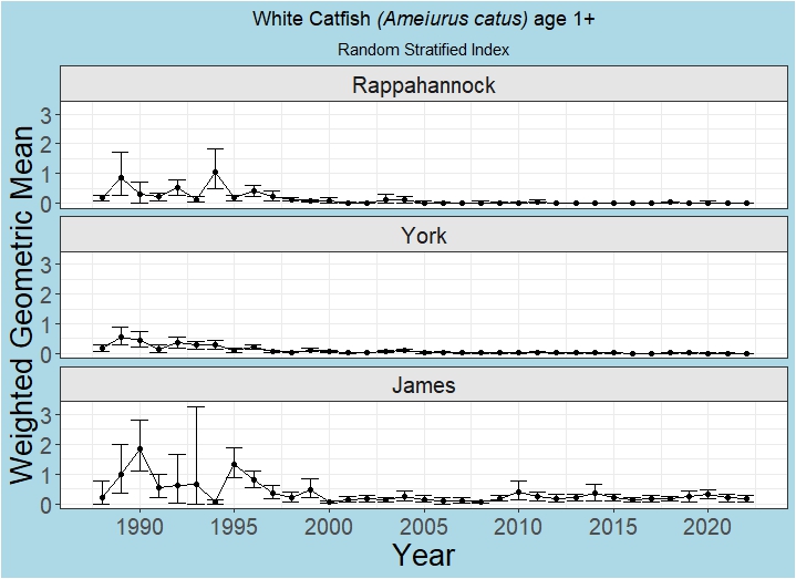 whitecat1 graph