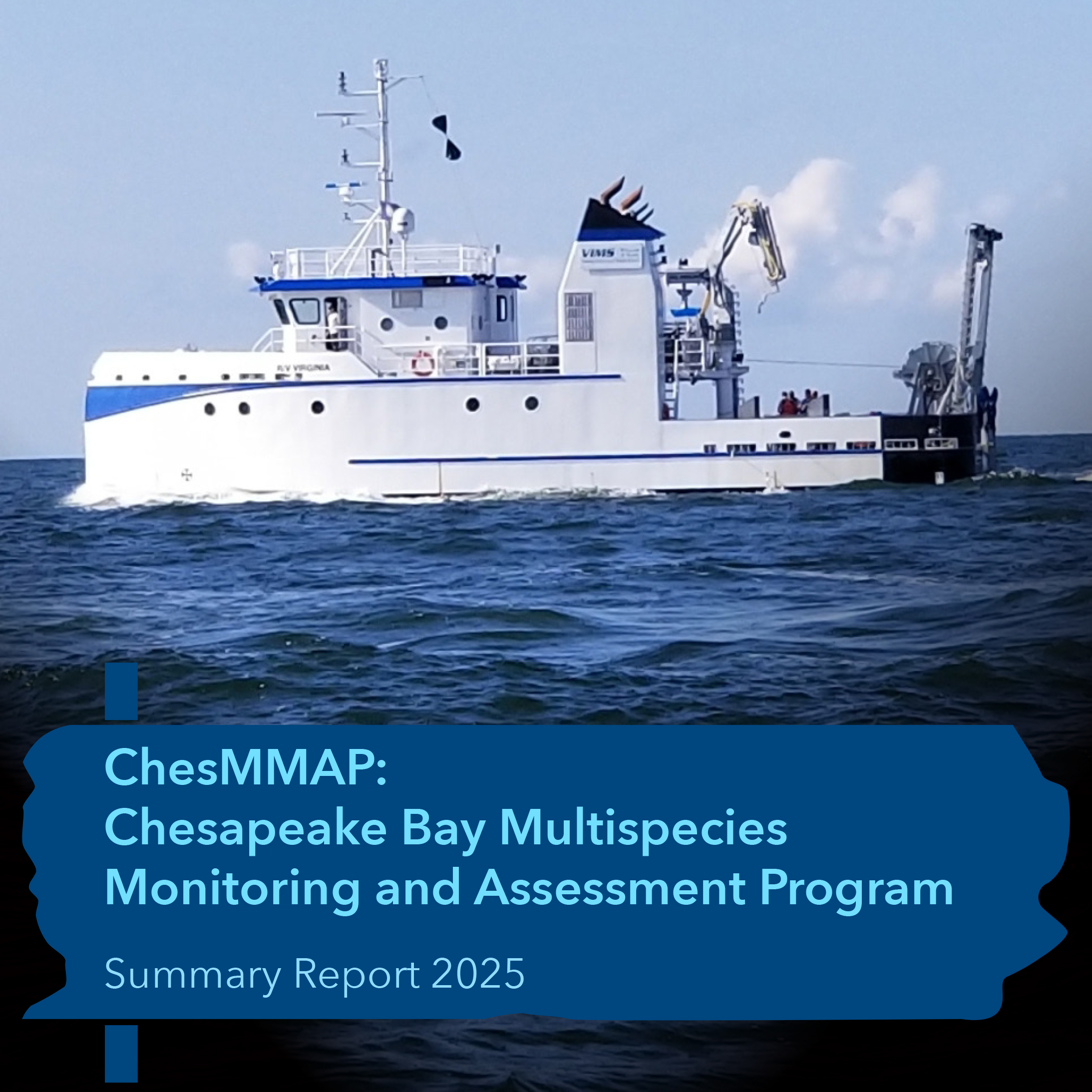 ChesMMP: Chesapeake Bay Multispecies Monitoring and Assessment Program Summary Report 2025