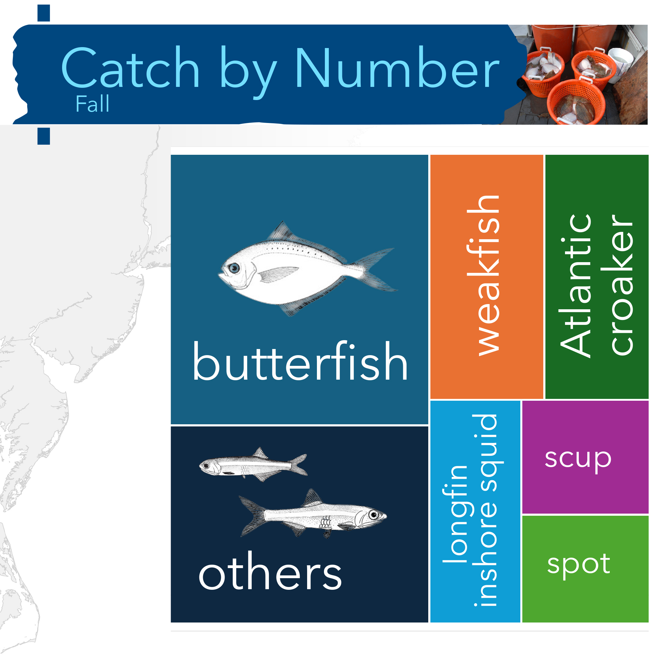 A tree map of taxa caught by number during the fall cruise:  butterfish, others, weakfish, Atlantic croaker, longfin inshore squid, scup, spot
