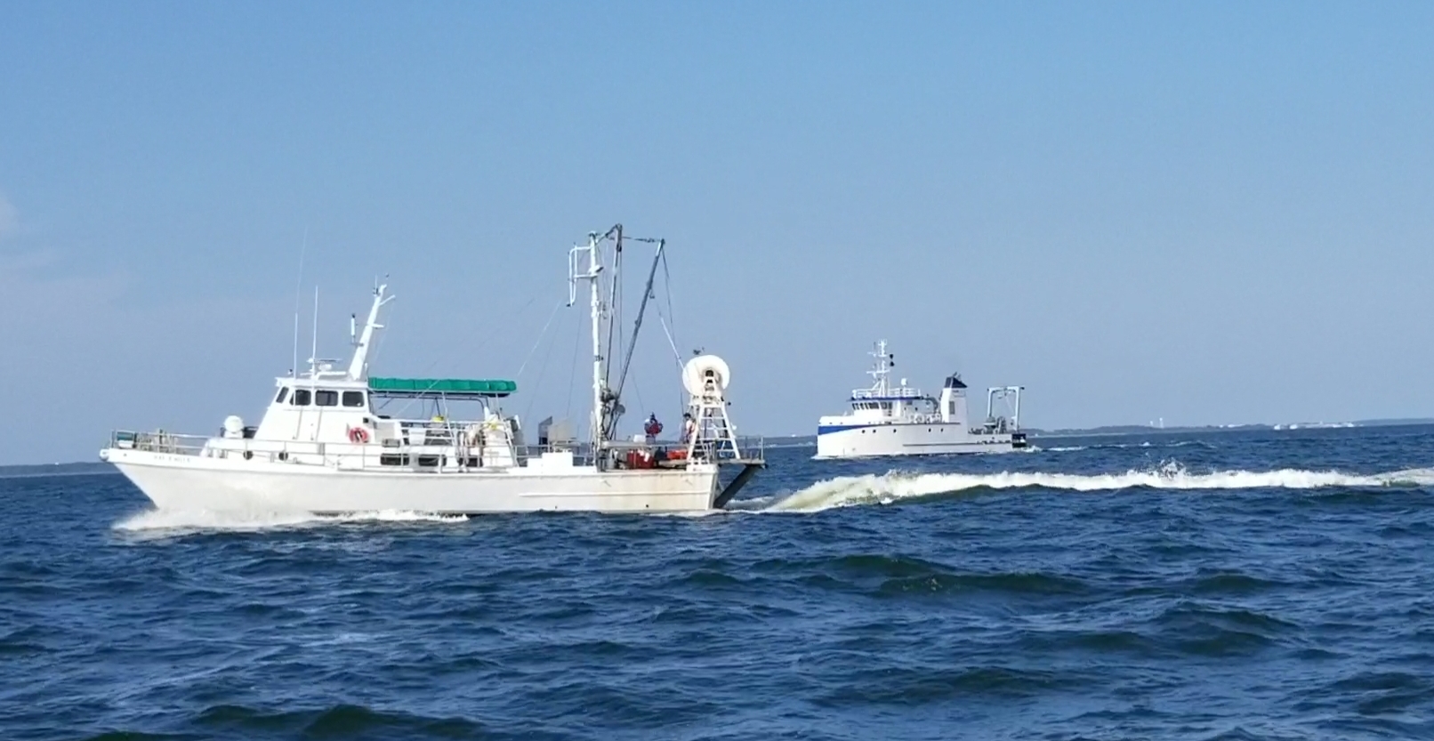 Virginia and Bay Eagle