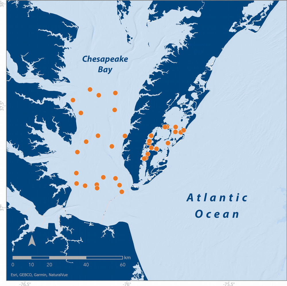 a map of 35 randomly selected coast span stations for a cruise in lower Chesapeake Bay and southern Eastern Shore lagoons