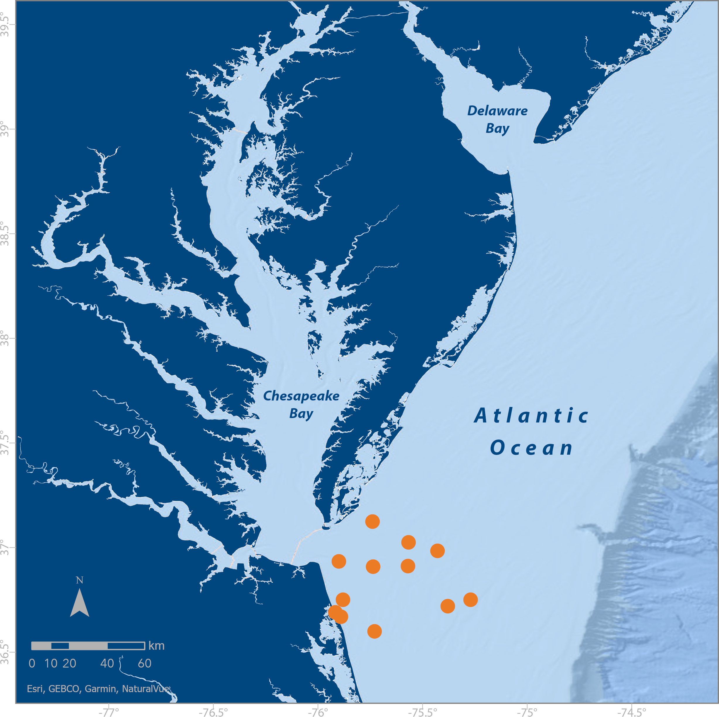 Map of east coast United States and Atlantic Ocean zoomed in on Chesapeake Bay and Delaware Bay with 12 station markers scattered in the vicinity of the mouth of Chesapeake Bay