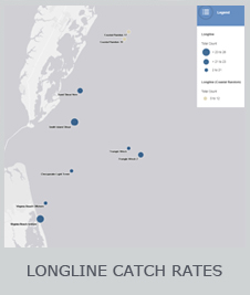 Longline catch rate maps