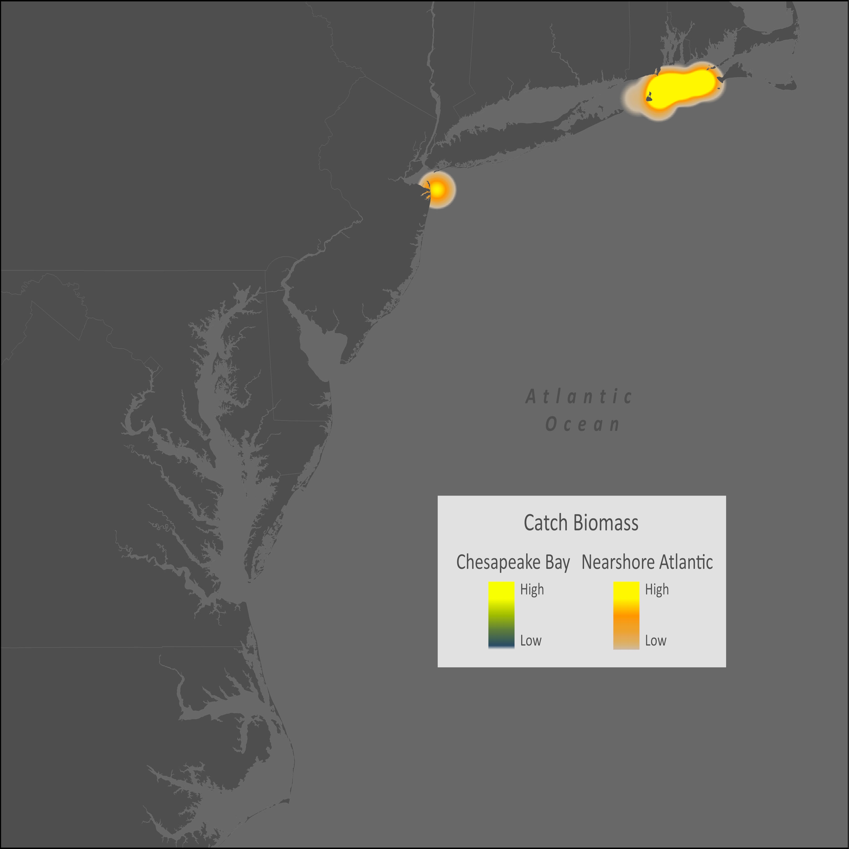 Atlantic Cod Distribution